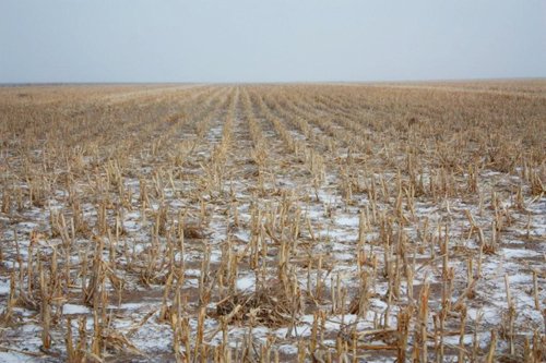 Property photo 62 - Kansas Land Auction - 960 Acres - 7 Farms in 3 Counties
